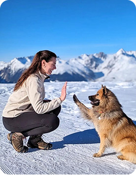 séjour montagne animal